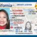 California Real ID